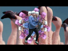 Cargar y reproducir el video en el visor de la galería, Skapital Sound - Flamingo LP